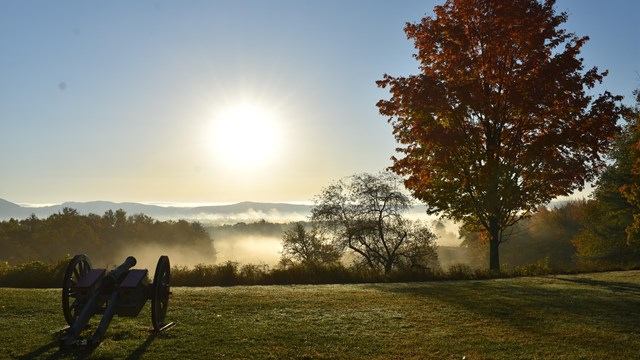 A canon on a grassy overlook with a leafy tree and setting sun.