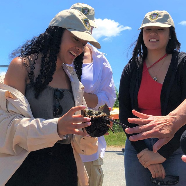 Three university students on a beach area looking at something in someone's hand