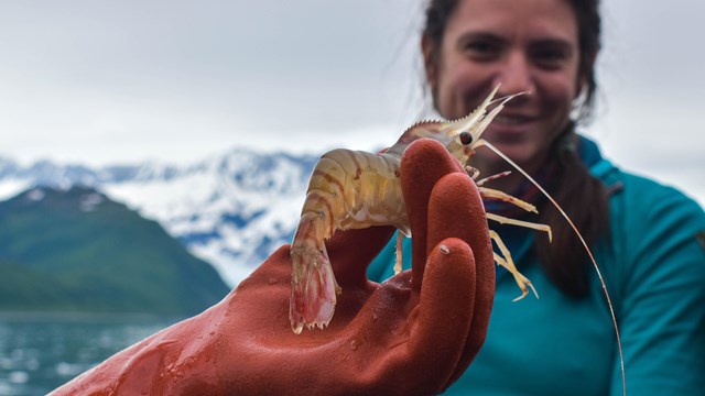 A teacher learns about marine life