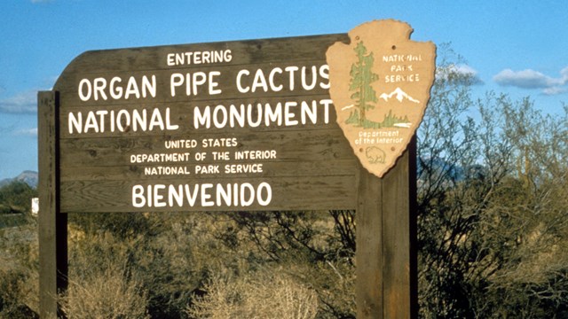 A welcome sign for Organ Pipe Cactus National Monument sits on a small hill covered in desert plants