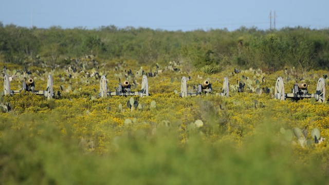 Stone monument and cannon marker for the Battle of Carricitos.