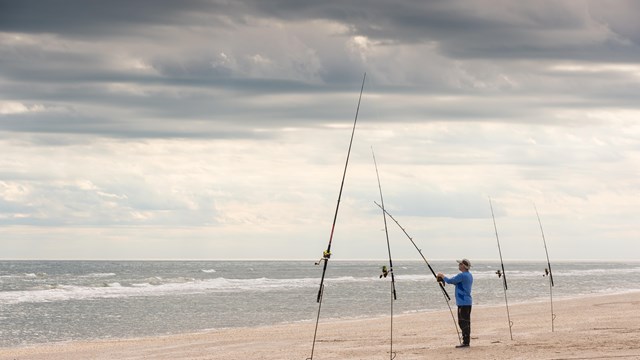 A man stands at one of several fishing poles stuck in the sand near the water on an overcast day.