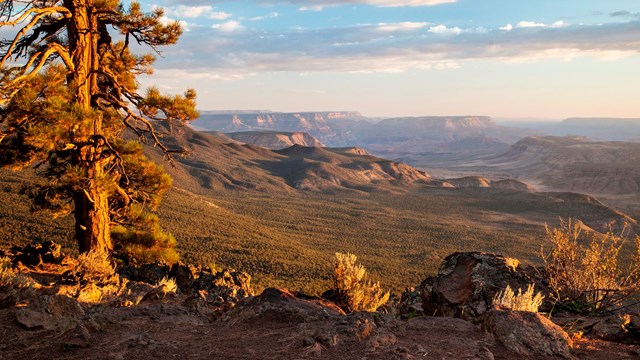 View of Whitmore Canyon from Mt. Logan