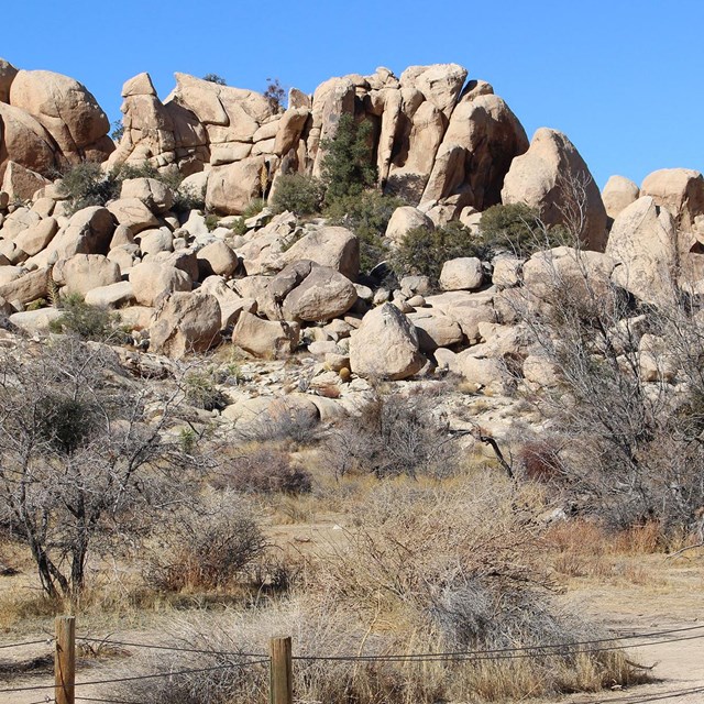 Looking toward the site today