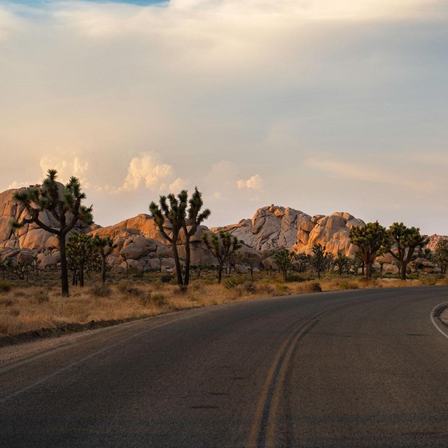 Park Boulevard through Hidden Valley