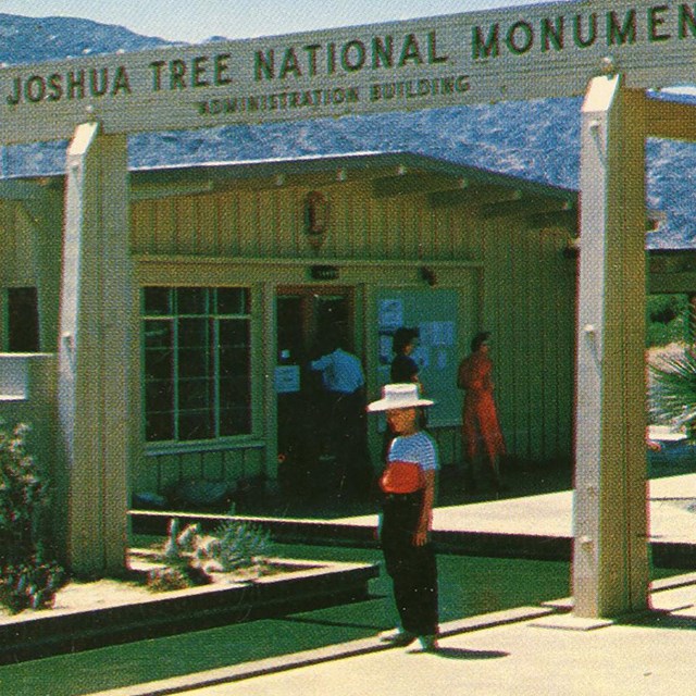 Oasis of Mara Visitor Center postcard