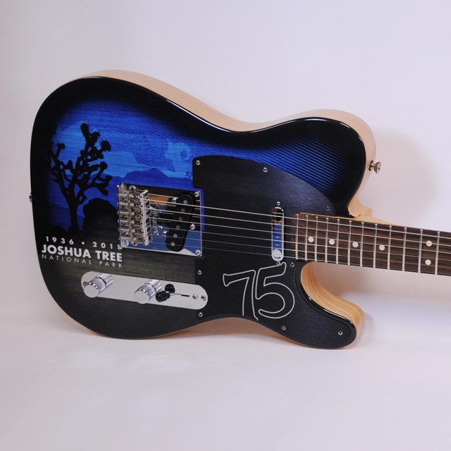 Electronic Standard American Telecaster Guitar