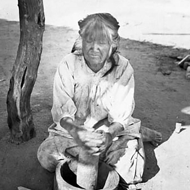 Pima Indian woman, Si-Rup, pounding mesquite beans in a wooden mortar