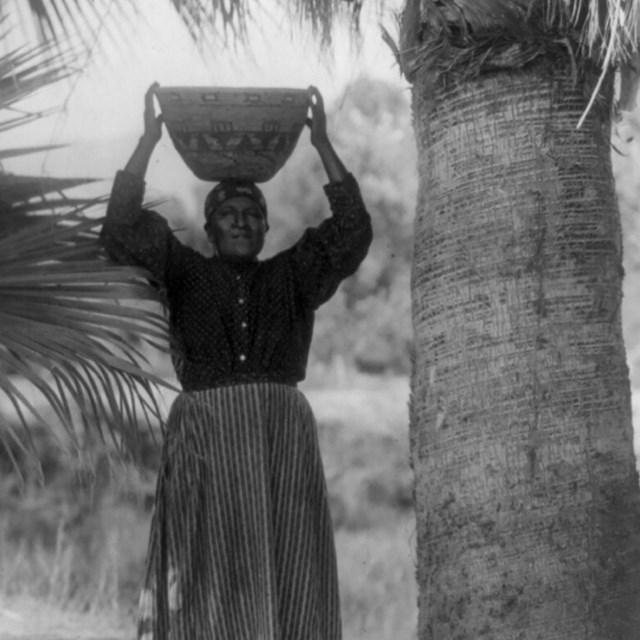 The Harvester -- Cahuilla