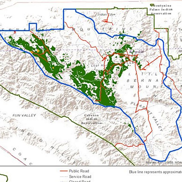 Joshua Tree Refugia