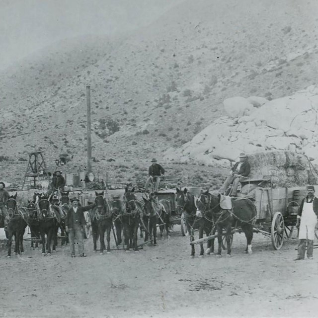 Freight Wagons at Lost Horse Wells