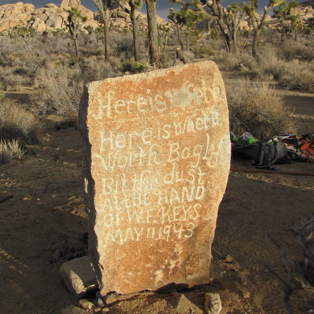 Worth Bagley Marker in situ