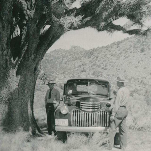 Joshua Tree Rangers