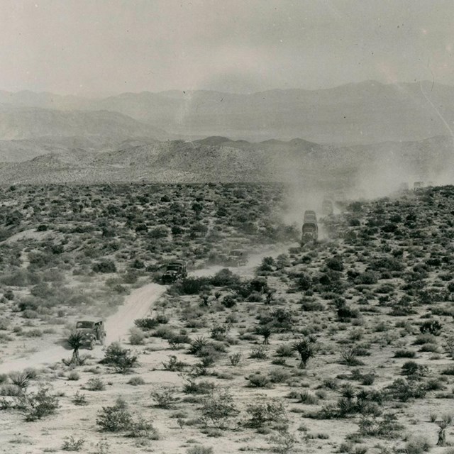 Army Convoy, Pinto Basin