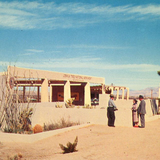 “Joshua Tree National Monument” Postcard