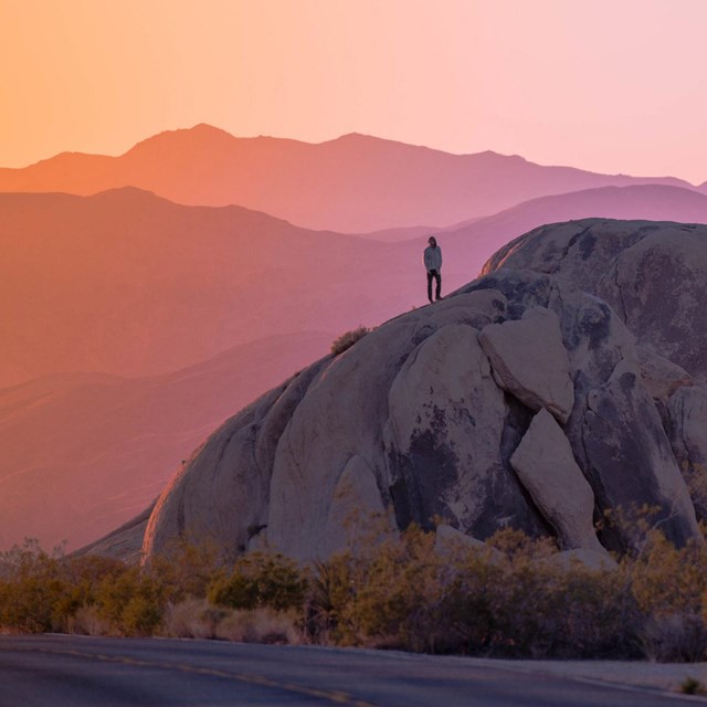 Man standing in the sunset