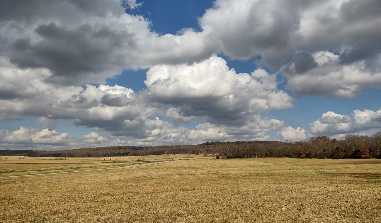 Photo of hay field with cumulus clouds in a blue sky overhead.
