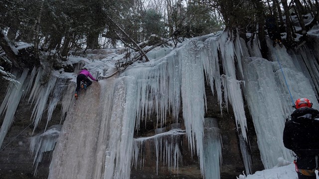 a person ice climbs on large icicles oozing from a sandstone cliff