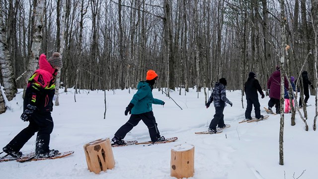 A line of students snowshoe through the woods