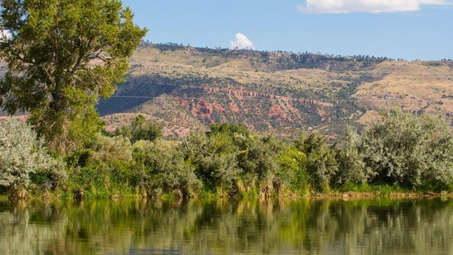 A still reflection pond surrounded by trees and shrubs, next to tall red cliffs.