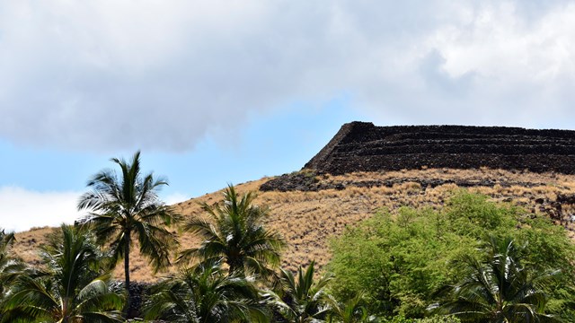 Close-up photograph of heiau with coconut trees in the foreground