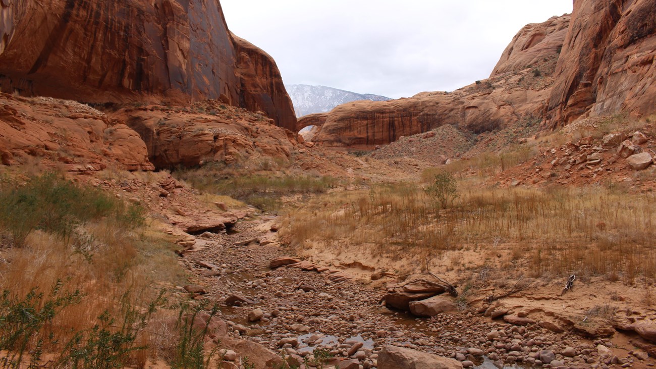 Sandstone cliffs, curved sandstone arch and rounded mountain at center.