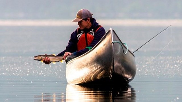 Fisherman caught a bite!