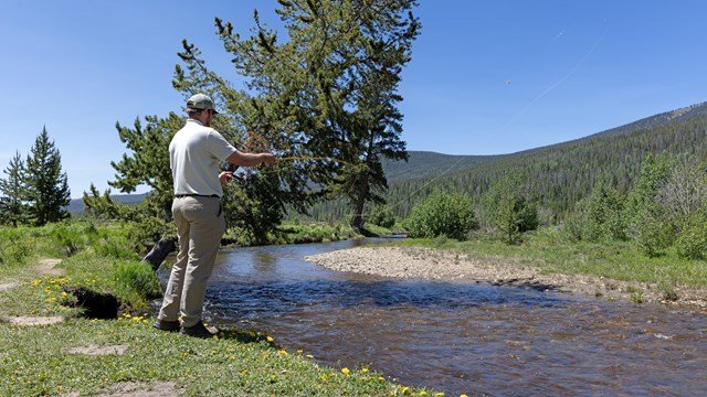 A person is fly fishing in a mountain river