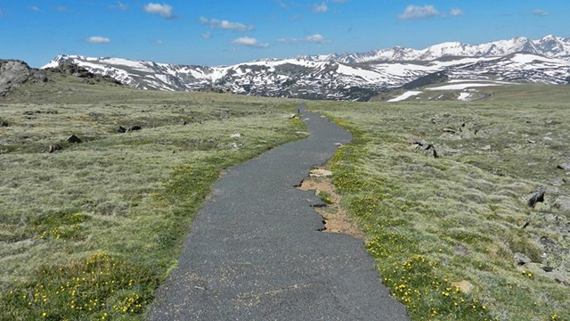 A trail along a lake is clear and dry on a sunny day