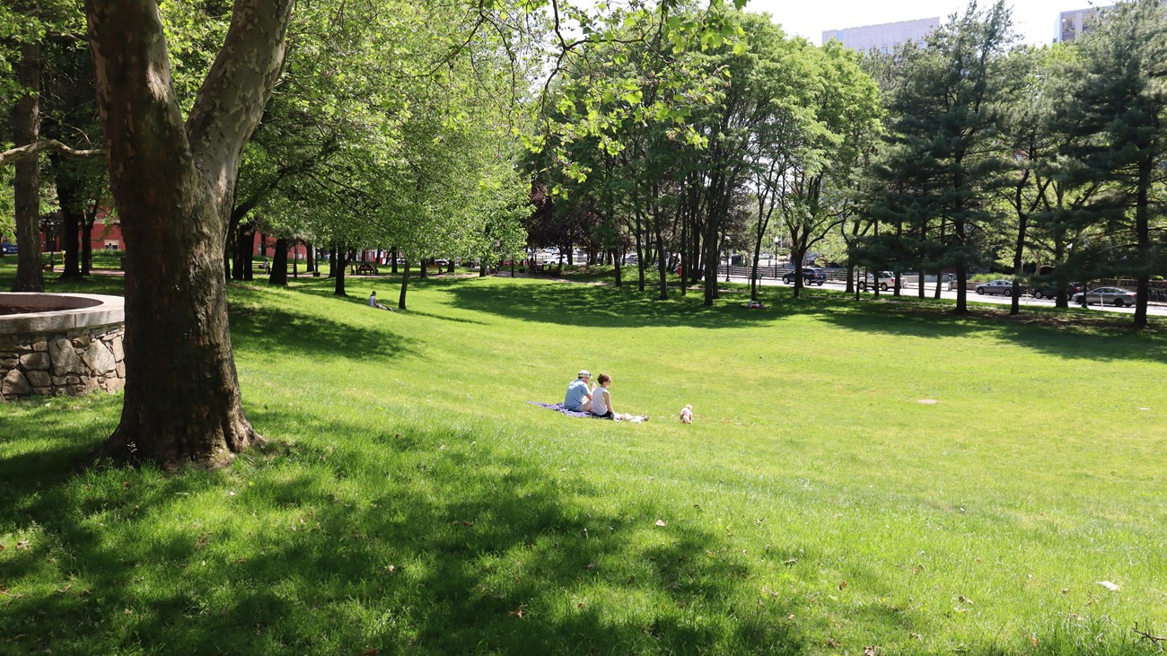 An image of a large, open area surrounded by mature trees