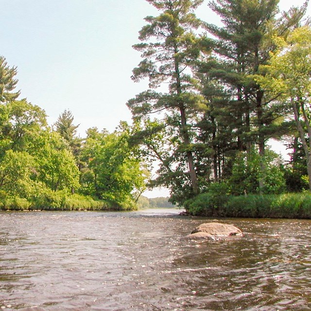 Rocks show in a moving river surrounded by trees.