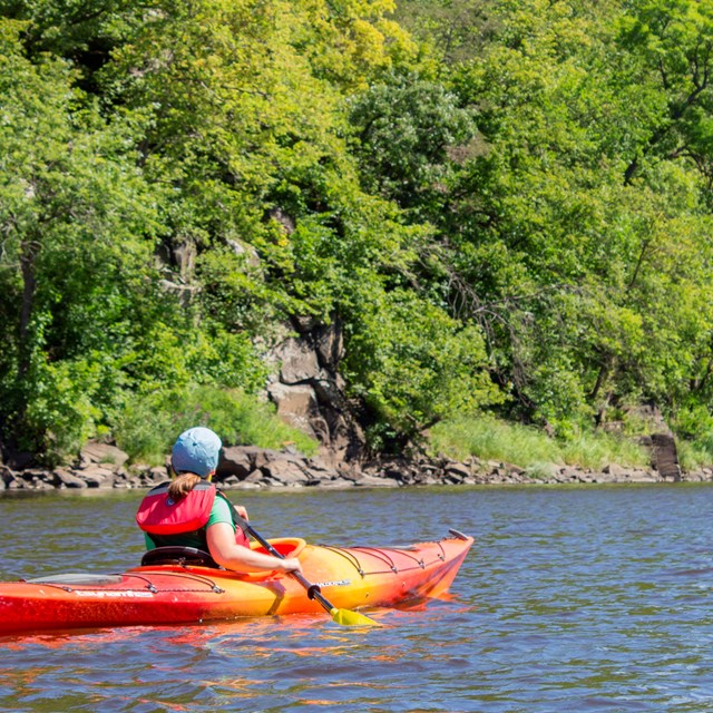 Kayak paddles by cliffs and trees