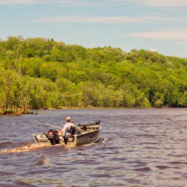 A man boats along a forested shoreline.