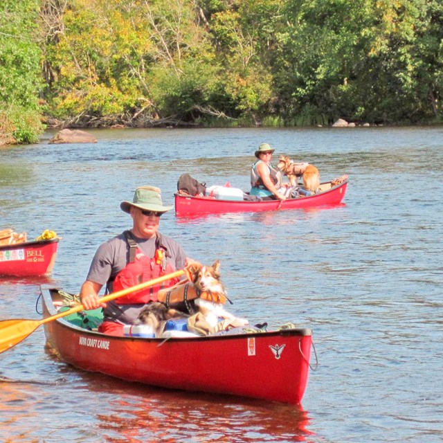 Paddlers in red canoes head out onto a river.