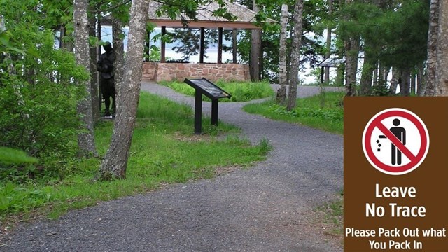 A path through the woods with statues and a small inset figure of human shape in the bottom right