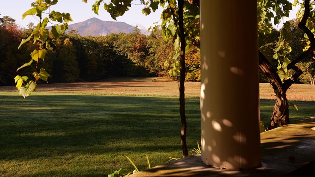 view of mountain in foliage