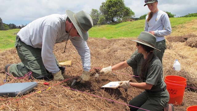 Three people on an archaeology dig.