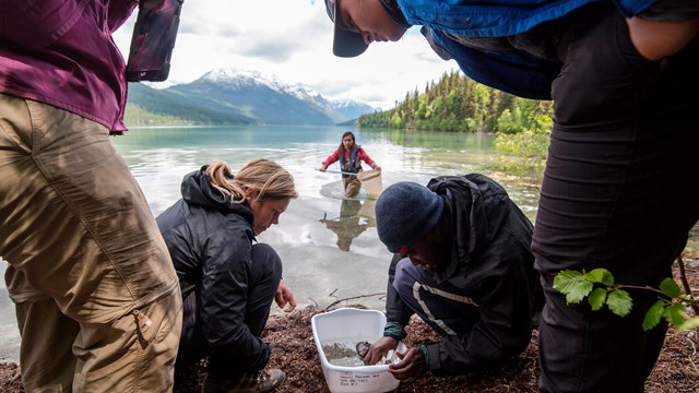 A group of people examine a lake