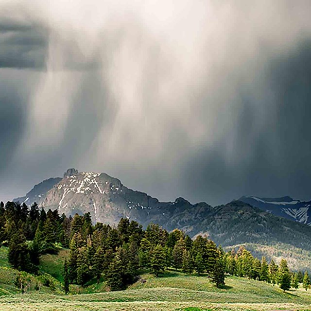 The Lamar Valley in Yellowstone.