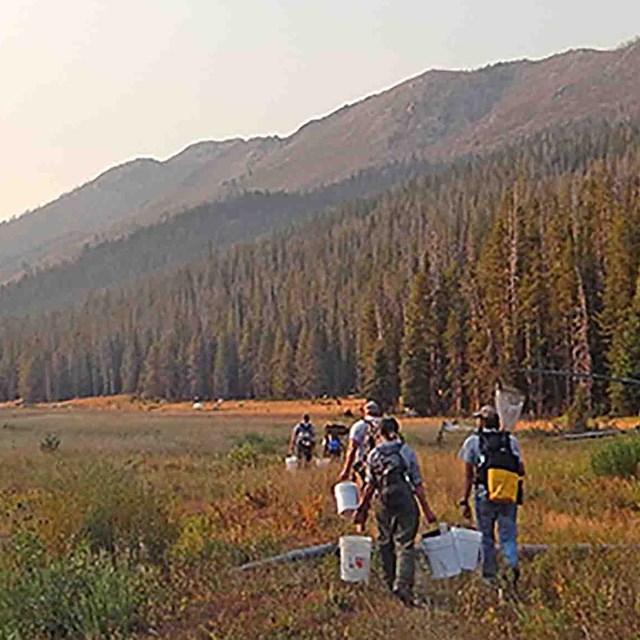 People walk through a valley in the fall with buckets.