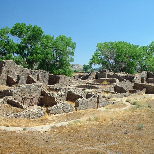 Ruins of an Ancestral Puebloan Great House with grassland in the foreground and trees behind.