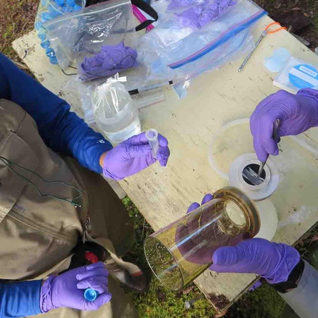 Researchers handling water samples.