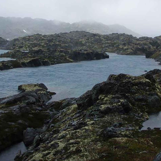 The rocky intertidal zone of Klondike Gold Rush NHP.