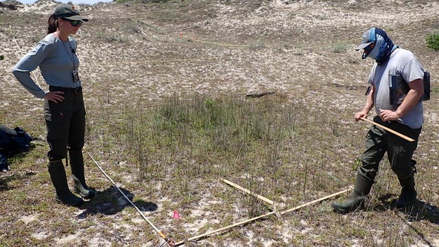 Woman and man both in uniform standing in grass marking plots. 