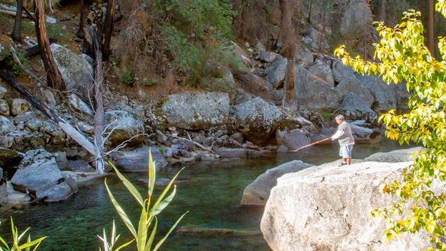 A person perched on a rock fishes in a park river twenty feet below.