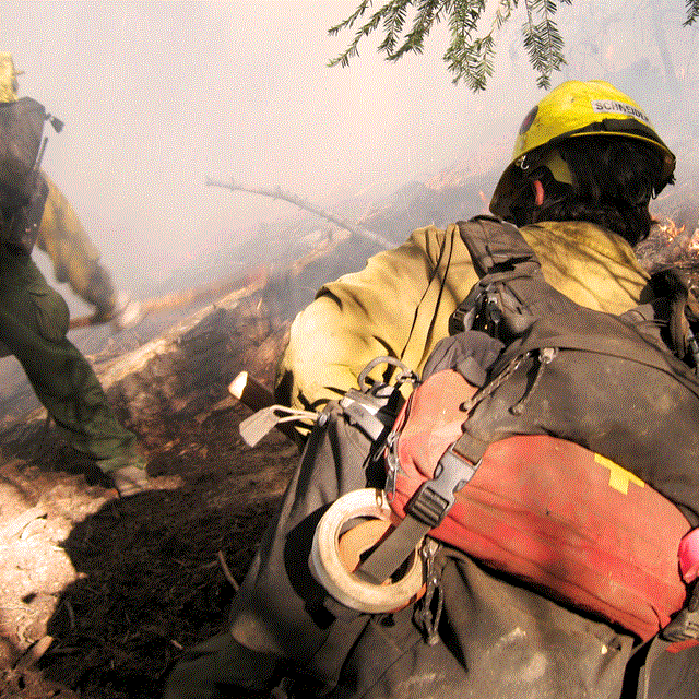 A firefighter hols the line during a prescribed burn.