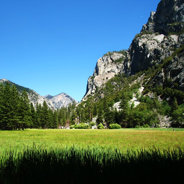 Zumwalt Meadow sits between Kings Canyon's rock walls 