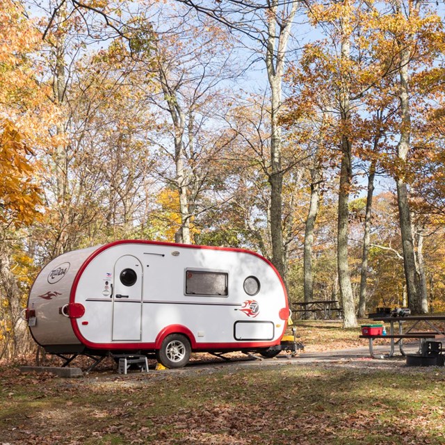 A red and white camper sits under a canopy of green trees in a campground.