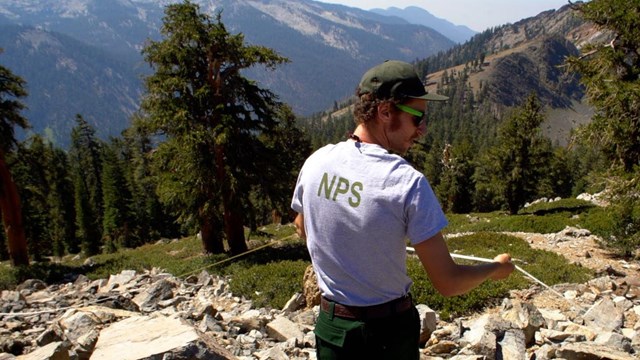 Field biologist stretches a transect tape on a rocky, mountainous slope