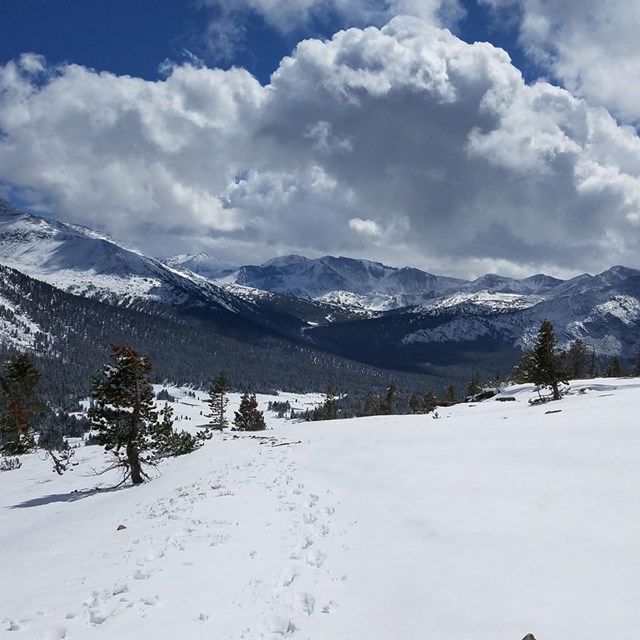 Gaylor Ridge in Yosemite National Park. 